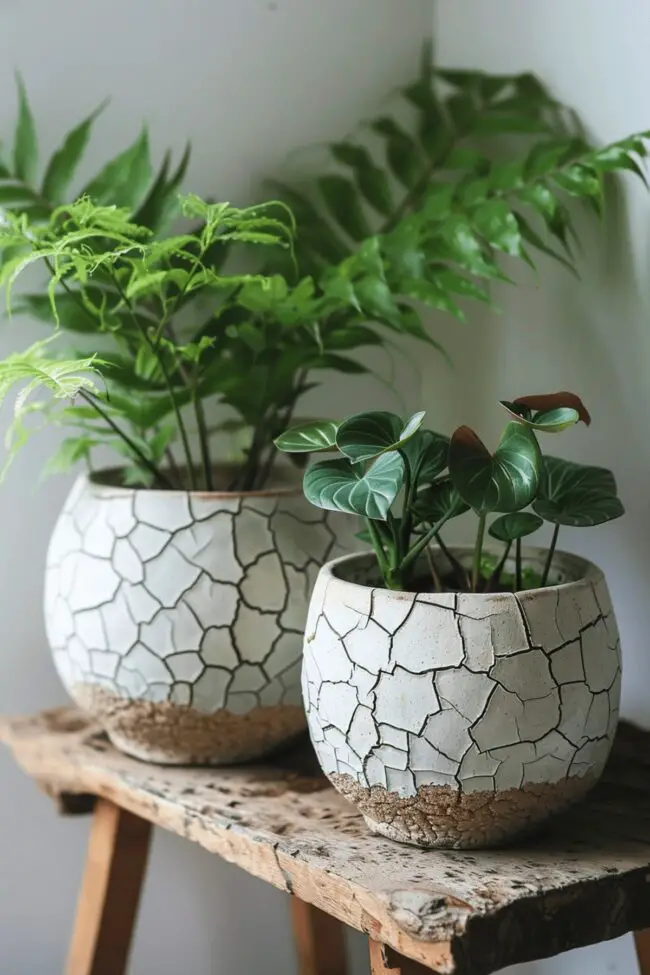 Chipped Ceramic Plant Holders