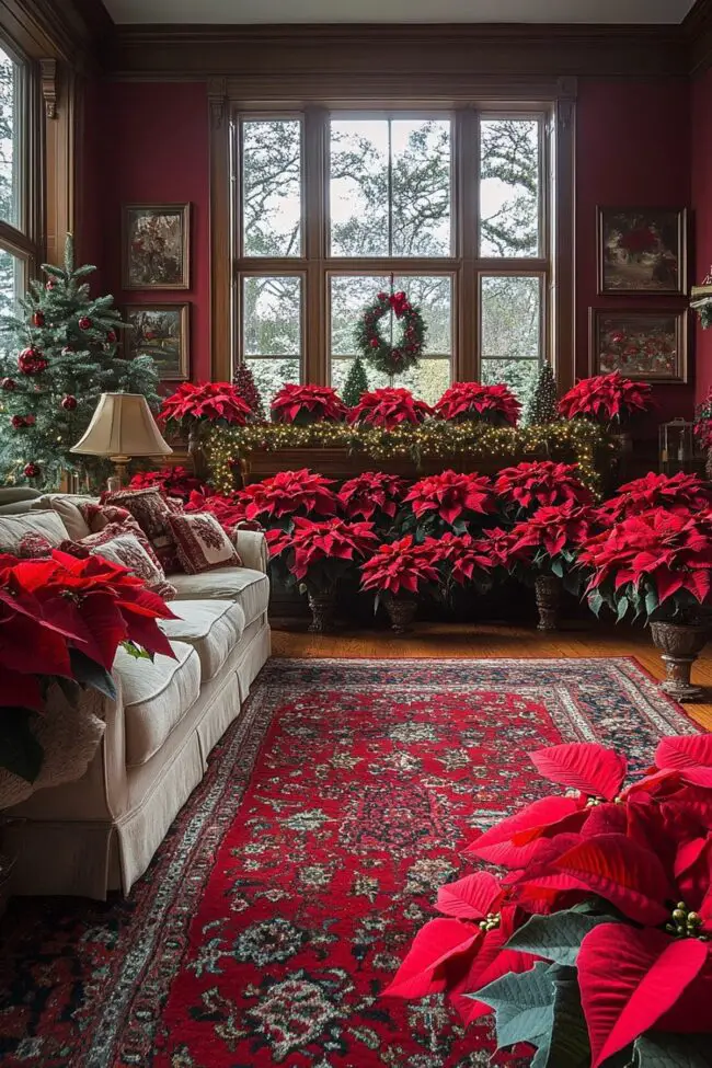 Poinsettia Wonderland