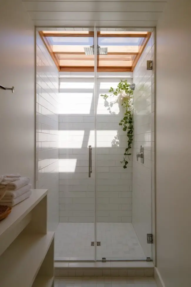 Skylit Shower Oasis