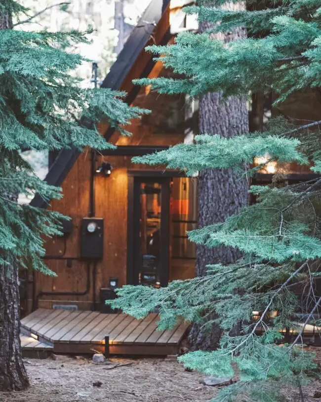 Landscaping Tips to Enhance a Small Cabin’s Natural Beauty